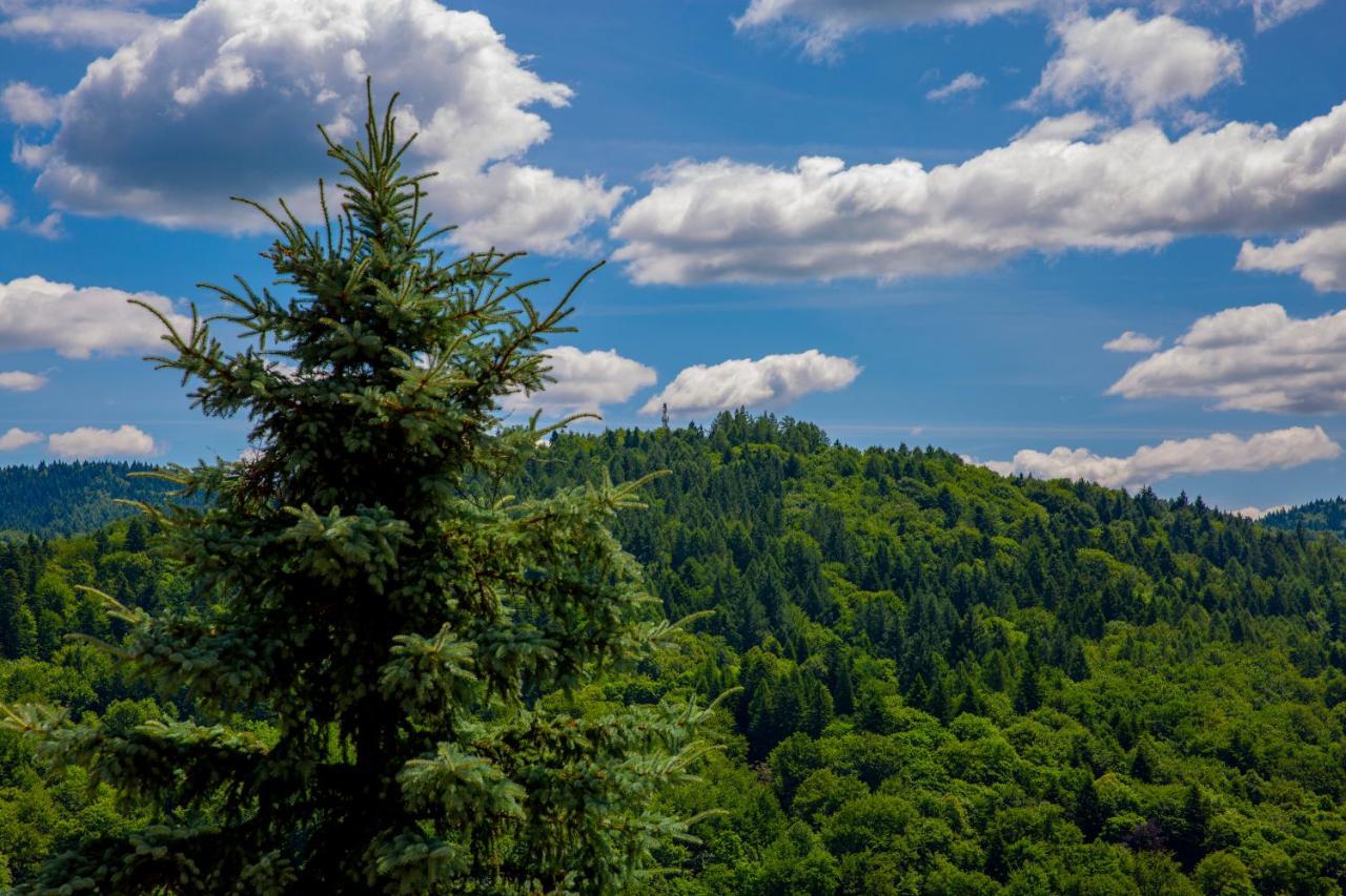 Sun & Sport Apartamenty Krynica-Zdroj Bagian luar foto